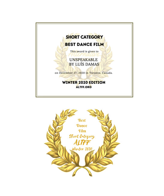 Realizador <small>- VídeoArtista</small>