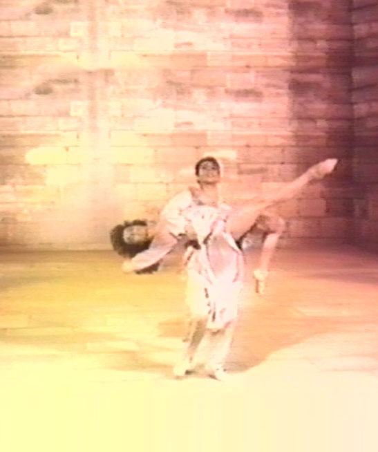 Realizador <small>- VídeoArtista</small>