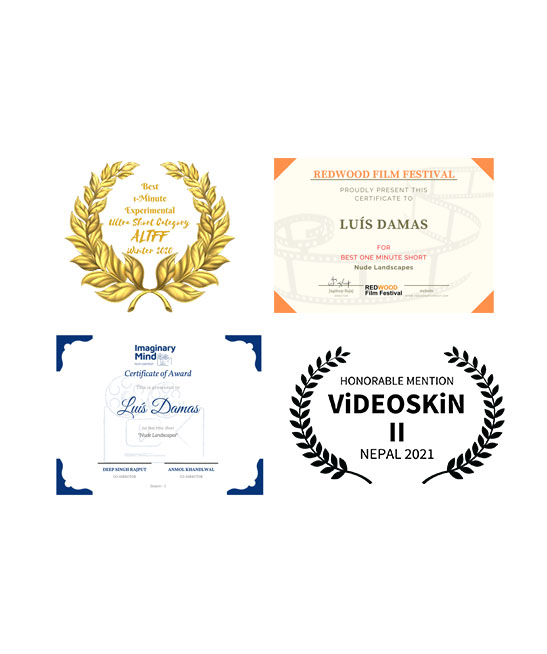 Realizador <small>- VídeoArtista</small>